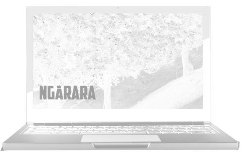 luvly social media management campaign facebook